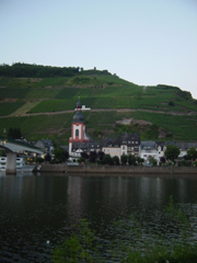Stadteil von Zell mit Blick auf Villa Cella