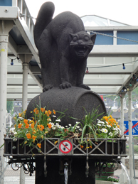 Die Zeller Schwarze Katz